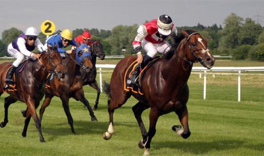 Ladies Day