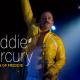 Freddie Mercury Tribute
